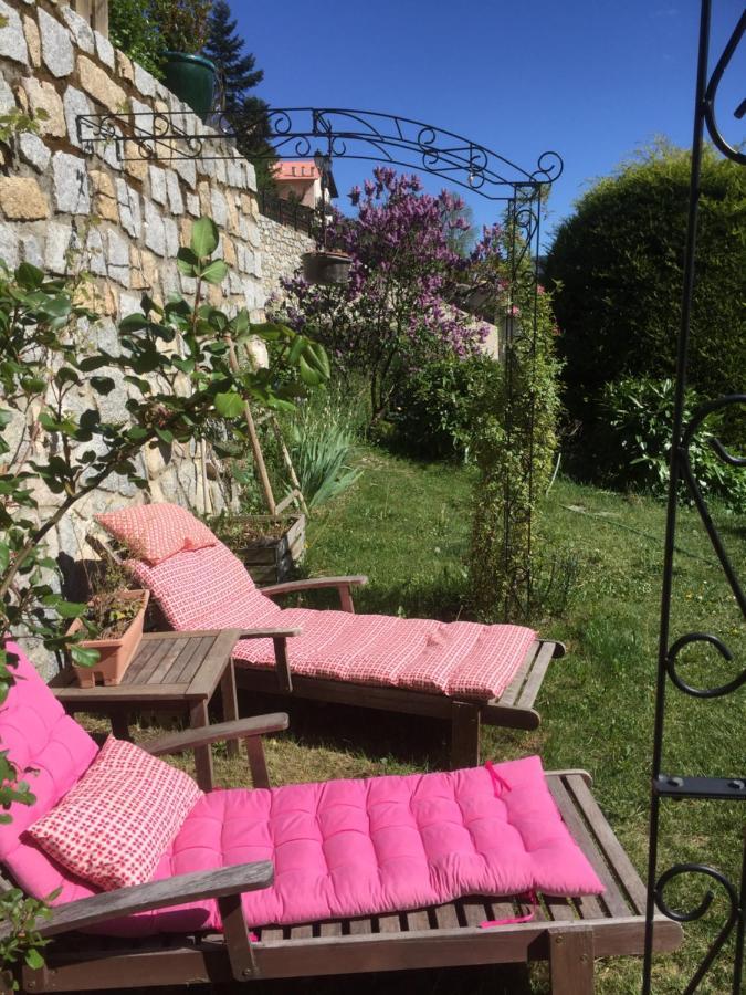 Rez De Jardin De Chalet Bois , Calme Et Verdure ! Saint-Martin-Vésubie Exteriér fotografie